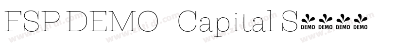 FSP DEMO   Capital S字体转换